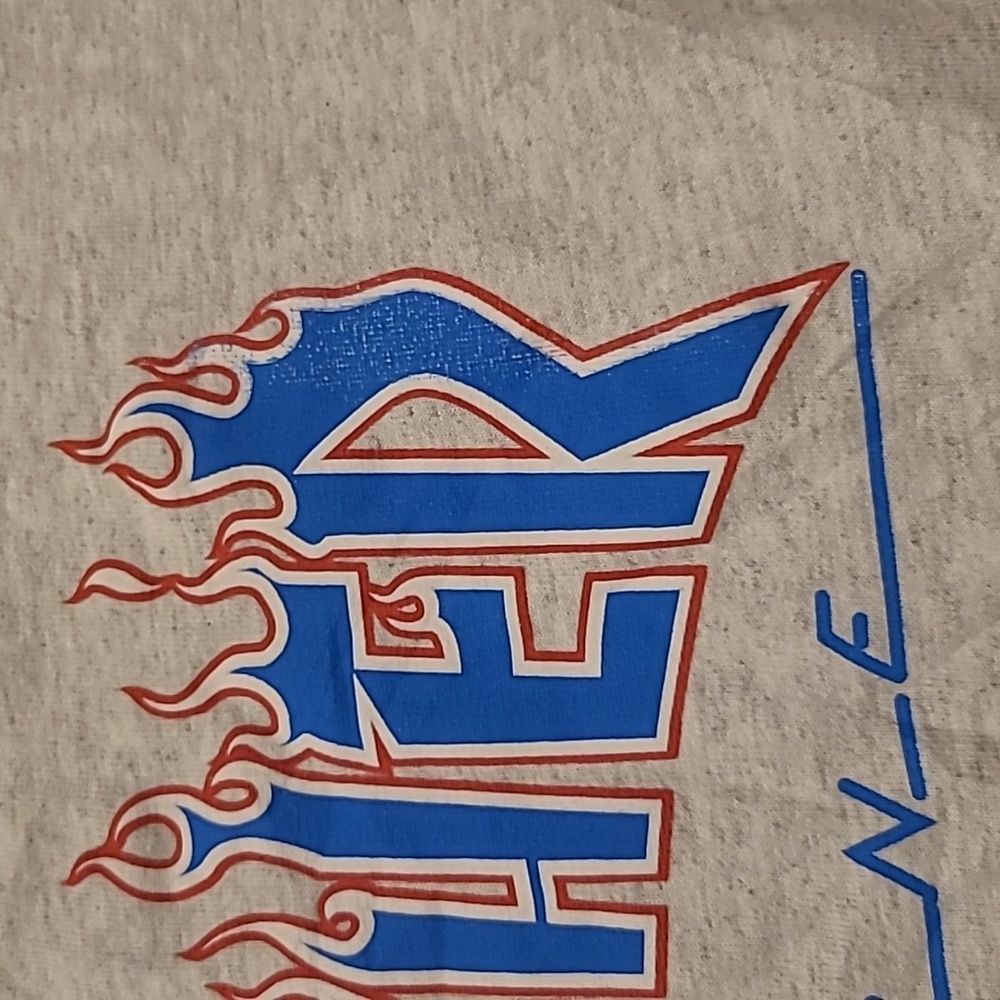 Thrasher T-Shirt Mens Medium Blue + Red Logo - Picture 5 of 5
